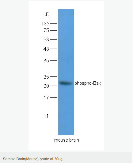 605c44f6e9a87.png image.png